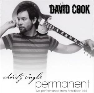 Permanent david cook mp3 free download songs